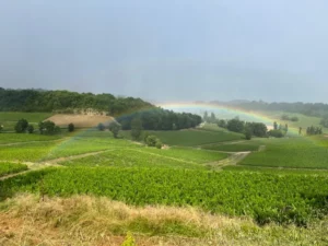 wine tour
