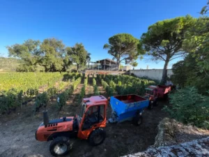 wine tour